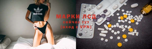 стафф Корсаков