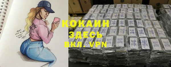 стафф Корсаков
