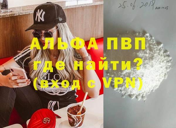 стафф Корсаков